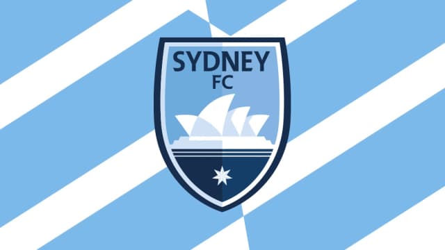 Partner Logo 4